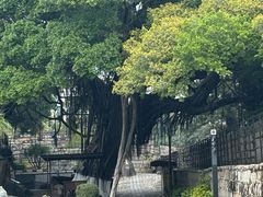 -胡里山炮台