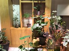 -柴务处·柴犬主题狗咖