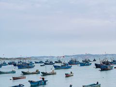 -海源公园
