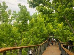 -东郊湿地公园