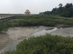 -北海金海湾红树林生态旅游区