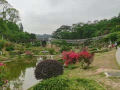 -东莞植物园