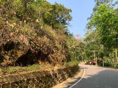 -火炉山森林公园