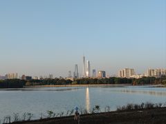 -海珠湖公园