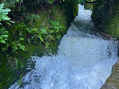 -秦岭终南山世界地质公园翠华山景区