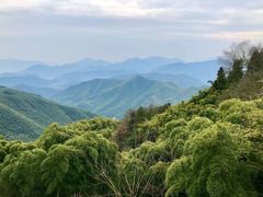 -莫干山风景区