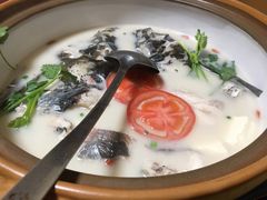 -全乐鱼馆·淳牌有机鱼直营店
