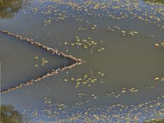 -映月湖公园