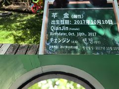 -上海野生动物园