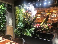 -森味薪火烧•烧鸟居酒屋•日本料理(望京店)