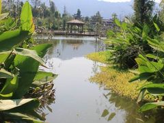 -重庆彩云湖湿地公园