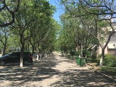 -山东理工大学