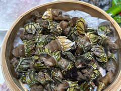 -高佳庄·舟山海鲜(海景旗舰店)