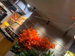 -渝大狮毛肚老火锅(遂宁万达店)