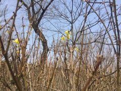 -蜀冈西峰生态公园