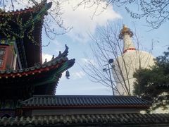 -西塔