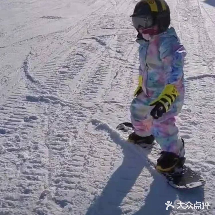 小小年纪,能力非凡,点赞滑雪少年