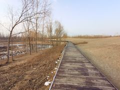 -东郊湿地公园