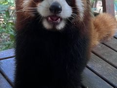 -普洱太阳河森林公园