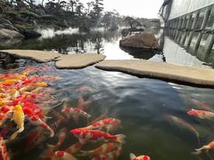 -罗红摄影艺术馆