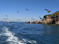 -海驴岛(荣成市)