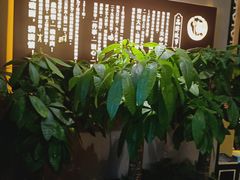 -吴满满油泼面(北方风味园店)