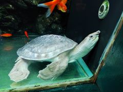 -大连圣亚海洋世界