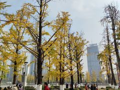 -百林公园-两江幸福广场