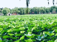 -长春市南湖公园