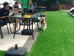 -汪说喵讲宠物乐园宠物酒店(红星美凯龙店)