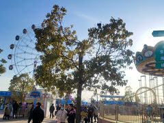 -如皋市龙游湖欢乐世界