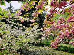 -白塘生态植物园