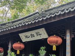 -上海醉白池公园