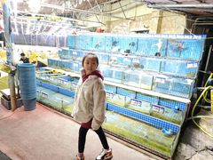 -西涌国际滨海旅游区