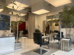 -Hair  Gallery