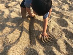 -白沙湾海滩