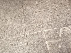 -醉炫音速烧烤·干煸菜(沙河总店)