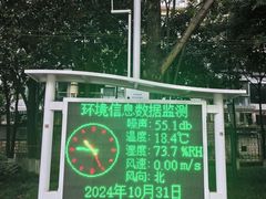 -神仙树公园