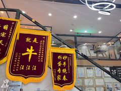 -半岛宠物医院24小时·内窥镜·牙科·碎石中心(府城大道店)