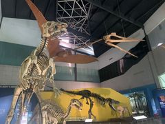 -湖南省地质博物馆