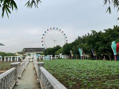 -百万葵园