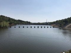 -中国西峡恐龙遗迹园