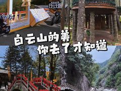-洛阳白云山景区