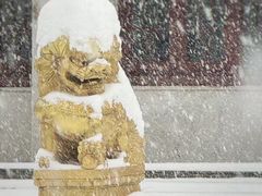 -二一九公园