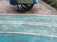 -重庆彩云湖湿地公园