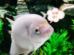 -广州海洋馆