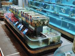 -强记海鲜·大排档(蛇口新街店)