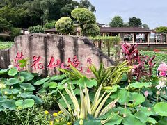 -广州莲花山旅游区