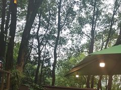 -巴倒烫陆派重庆火锅(南山店)