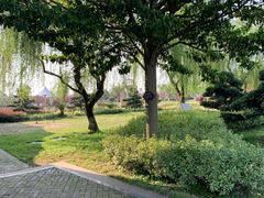 -千龙湖生态旅游度假区